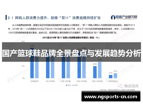 国产篮球鞋品牌全景盘点与发展趋势分析