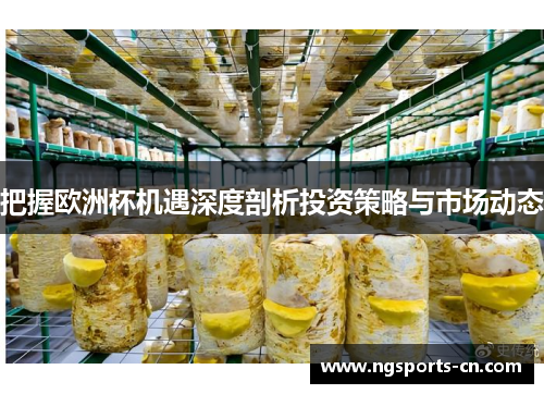 把握欧洲杯机遇深度剖析投资策略与市场动态