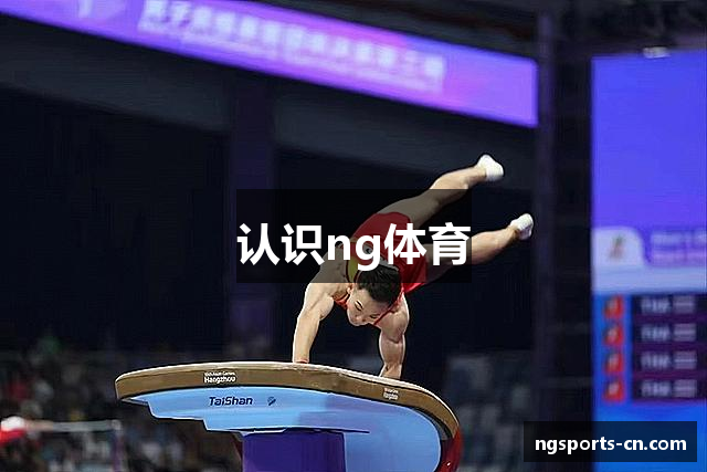 认识ng体育